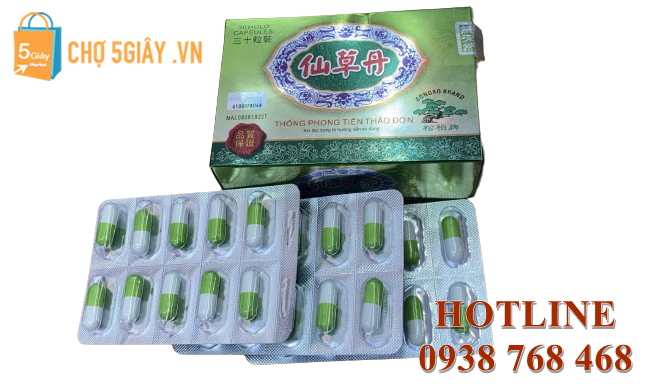 Thống Phong Tiên Thảo Đơn được chế biến từ các thành phần thảo dược tự nhiên có khả năng hỗ trợ điều trị các vấn đề liên quan đến xương khớp