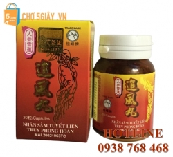 Nhân Sâm Tuyết Liên Truy Phong Hoàn giải pháp cho bệnh xương khớp HOT Nhân Sâm Tuyết Liên Truy Phong Hoàn giải pháp cho bệnh xương khớp HOT