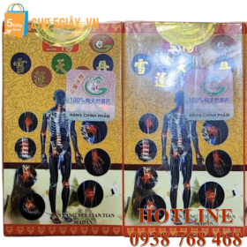 Tam Dương Tuyết Liên Thiên Ma Đơn - Giảm viêm khớp, hỗ trợ vận động [Cập nhật]